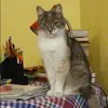 Отзыв от Людмила Шевелева